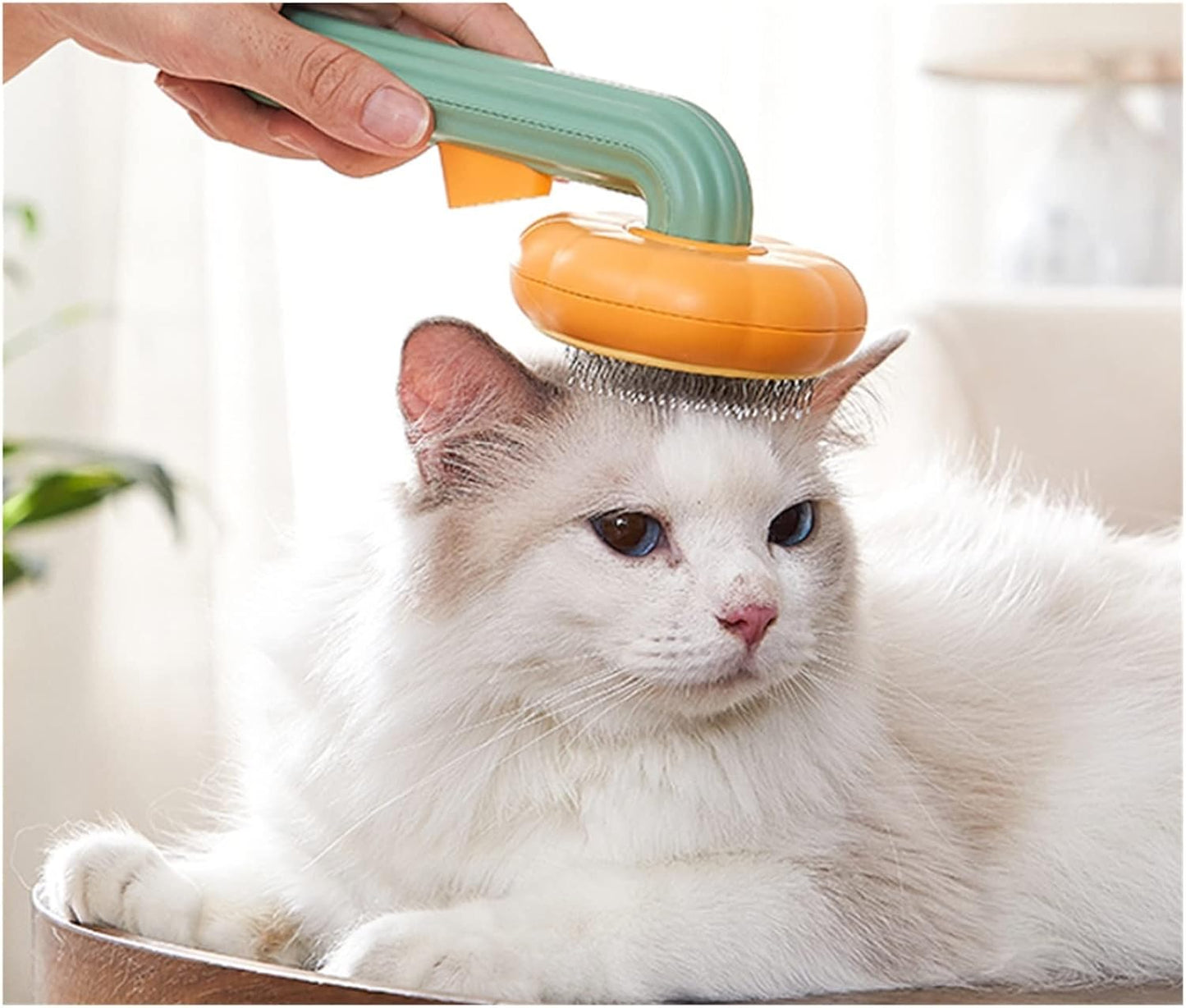 Brosse autonettoyante en forme de citrouille pour animal domestique